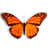 Butterfly on Desktop 1.0  