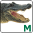 Crocodile Mathematics 401  
