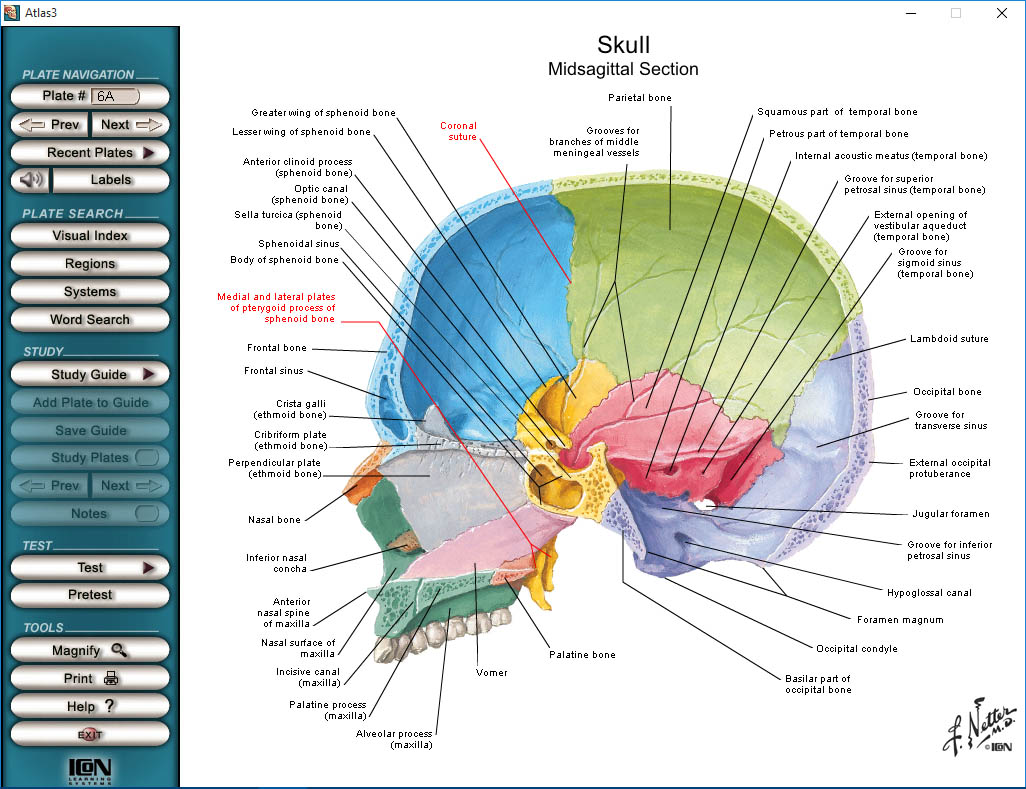 دانلود نرم افزار Interactive Atlas of Human Anatomy